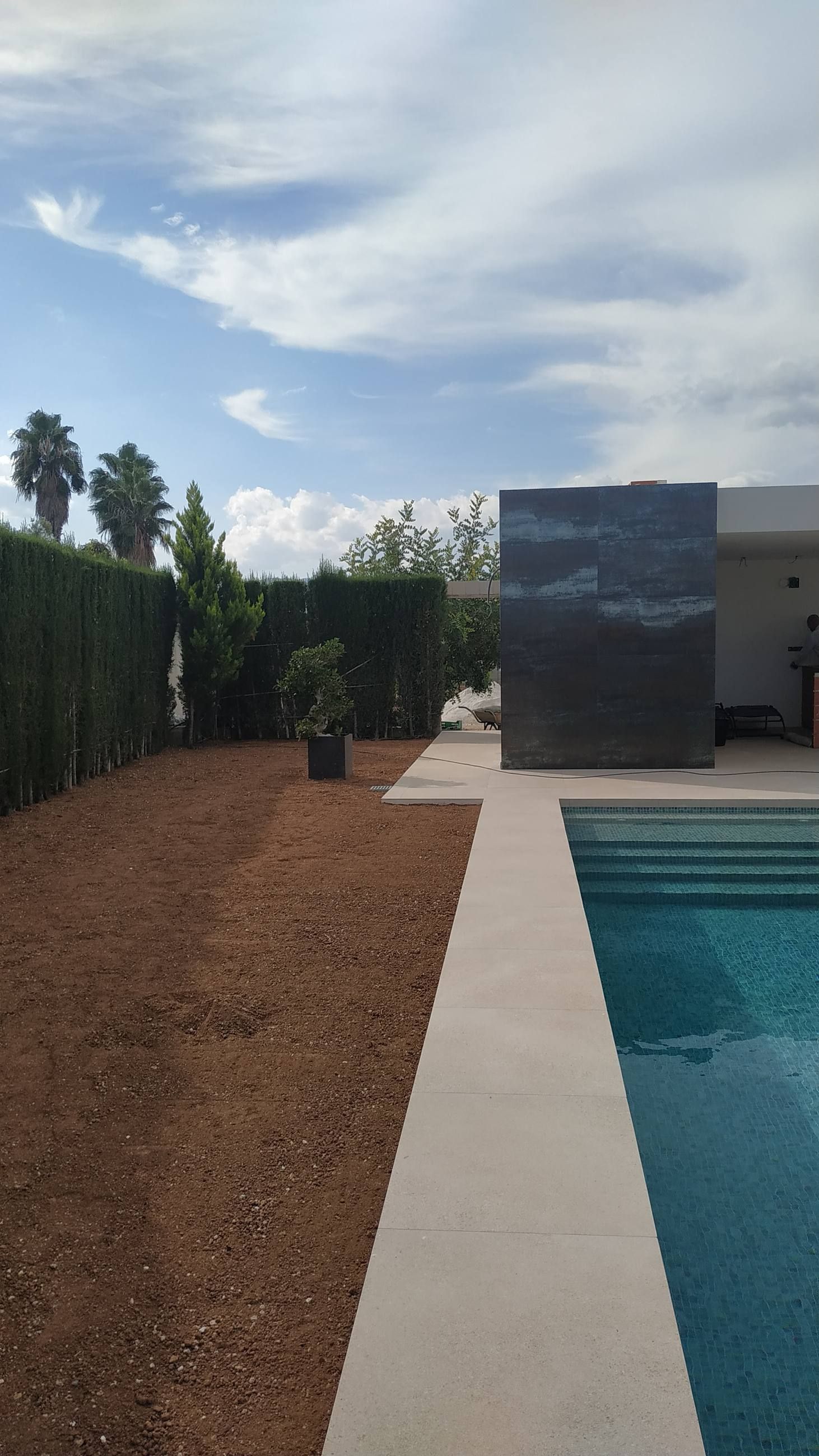 Vista general del jardín con el muro revestido y la piscina al fondo